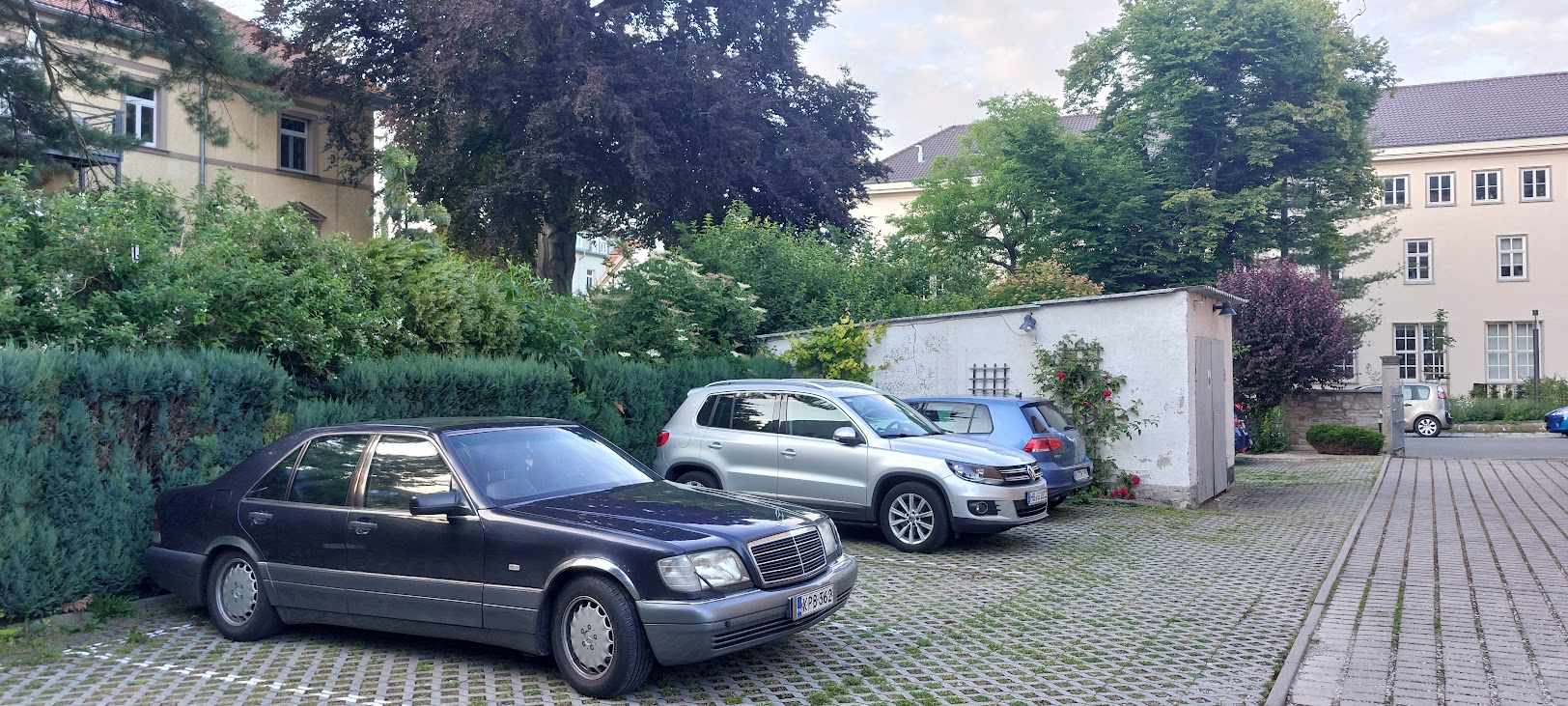 Parkki Weimar.jpg