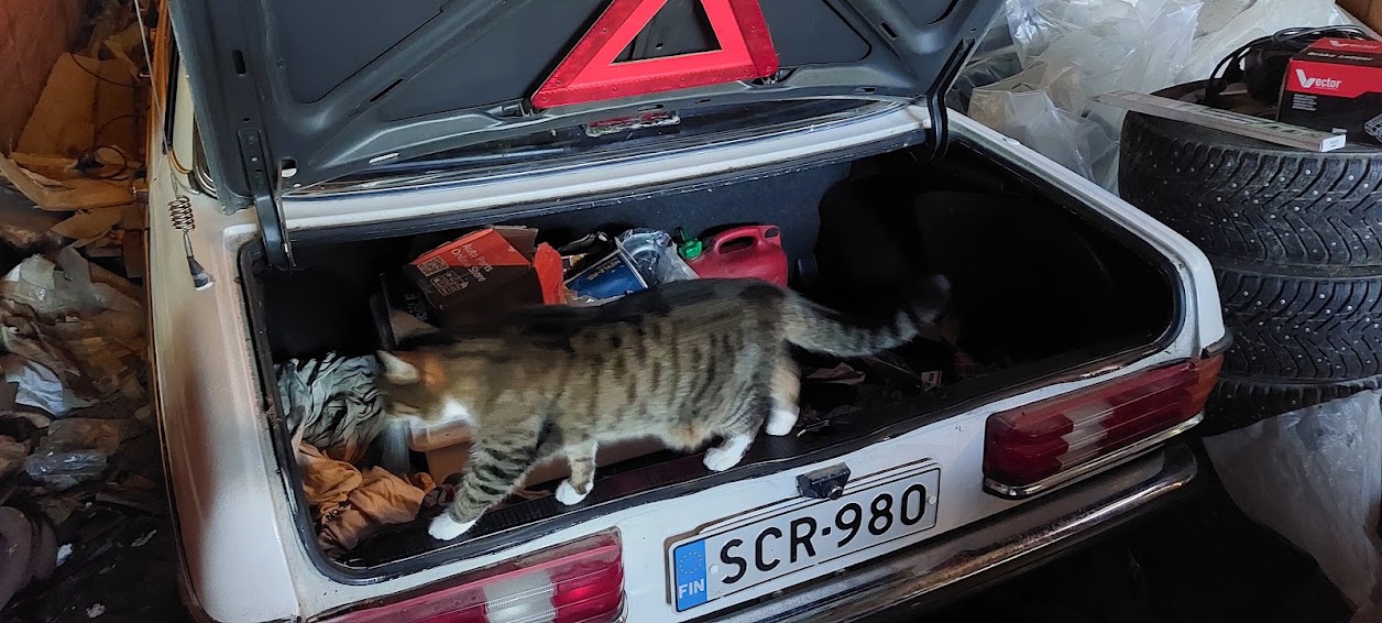 W123 ja Eetu.jpg